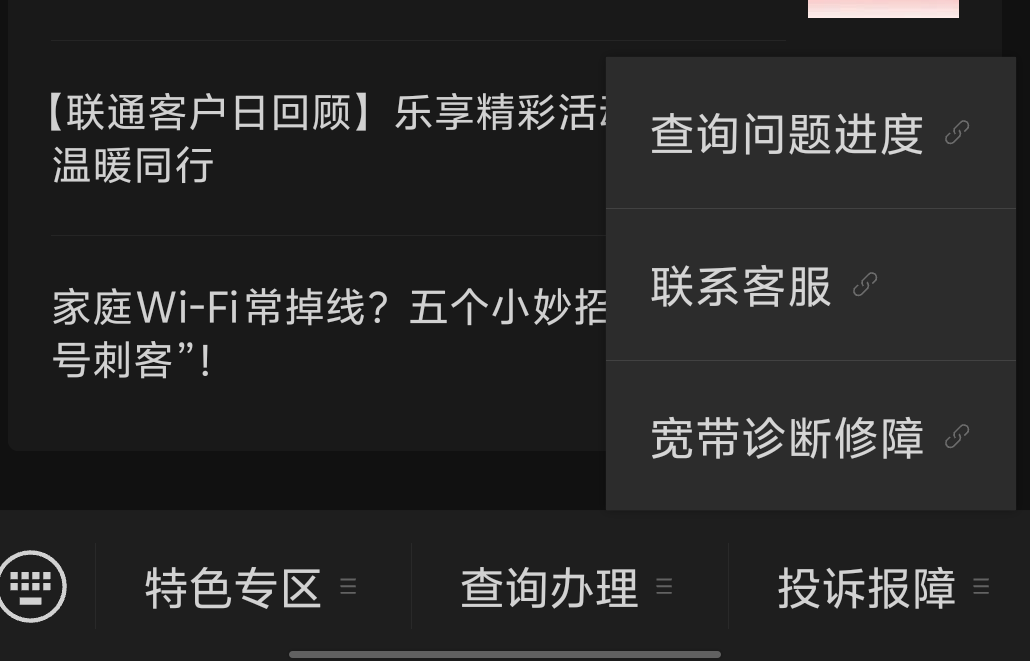 [4][记录]中国联通申请公网IP.png